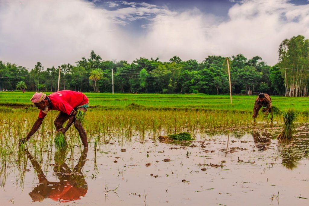 Travel Advice for Bangladesh