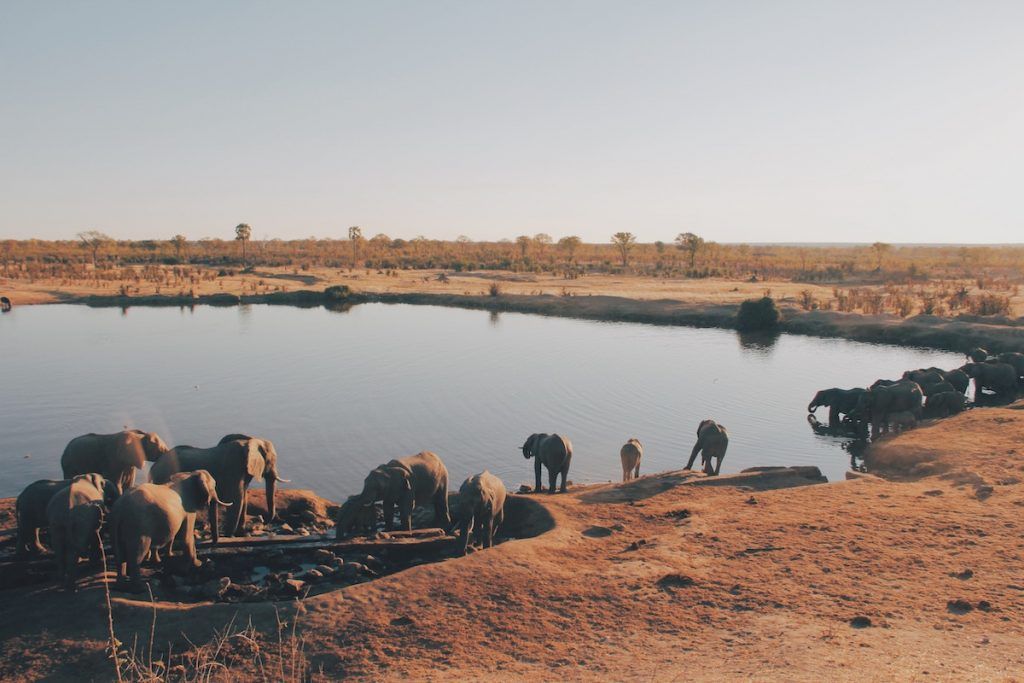 Dusk in Zimbabwe. Travel safely to Zimbabwe