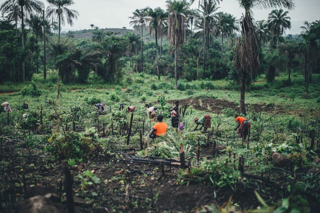 Travel advice and recommended vaccines for Sierra Leone